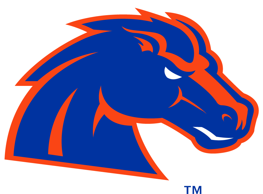 Boise State Bronco 2012-2013 Secondary Logo t shirts iron on transfers